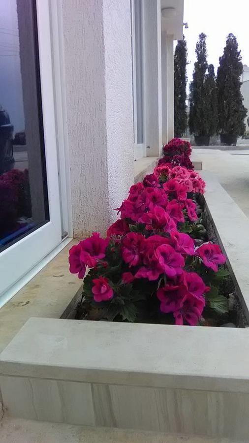 Aler 4* Sarandë